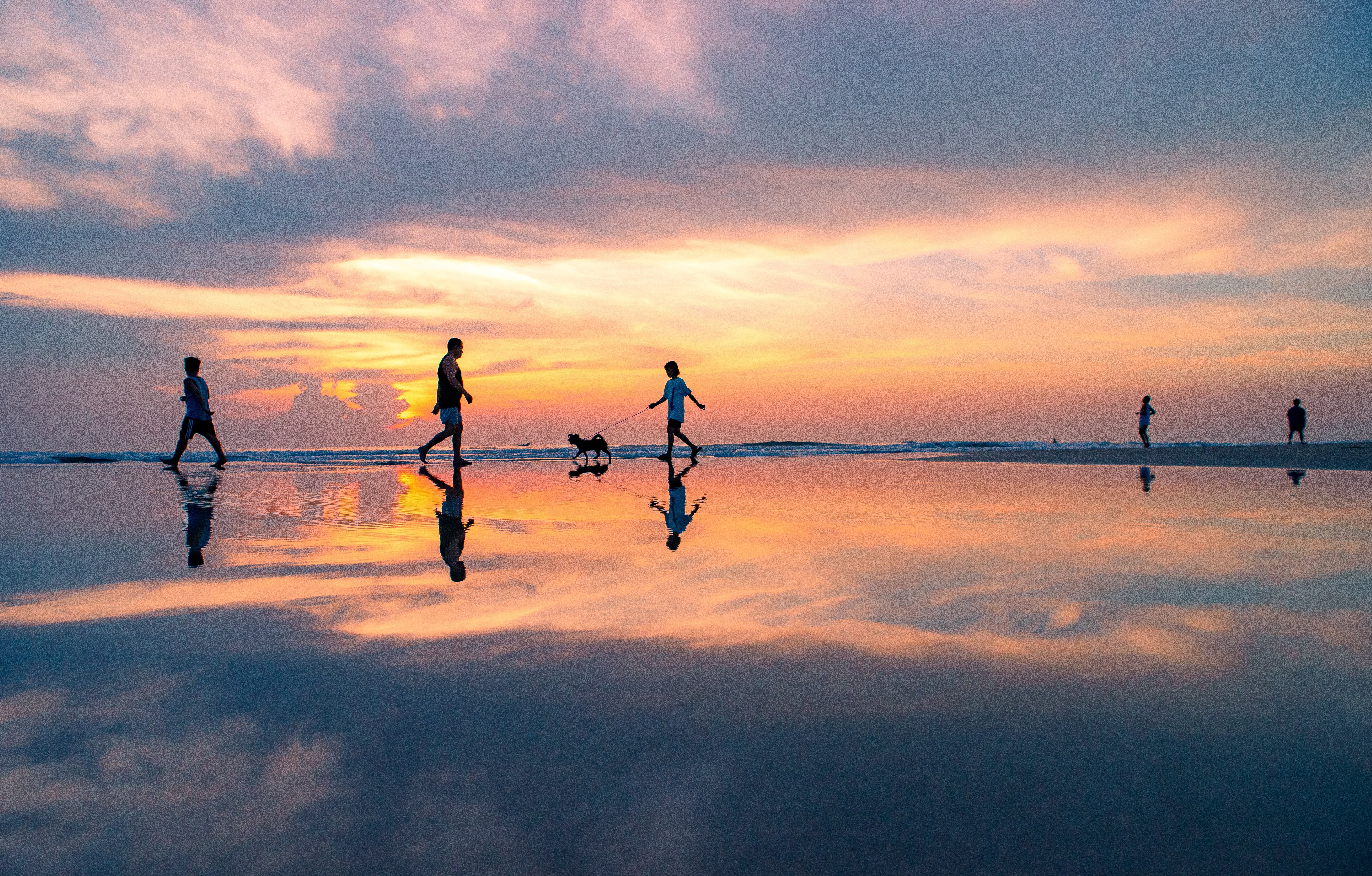 Фоновое фото формы поиска билетов